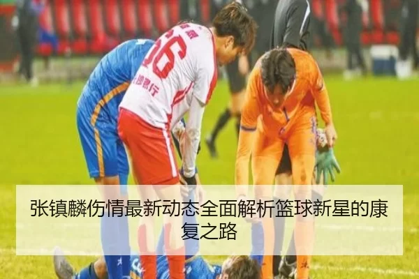 张镇麟伤情最新动态全面解析篮球新星的康复之路